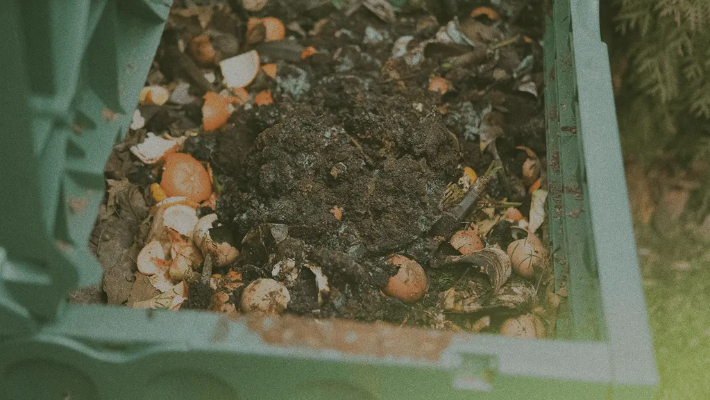 Open compost bin filled with decomposing organic matter, including fruit peels, vegetable scraps, and dark, rich soil.