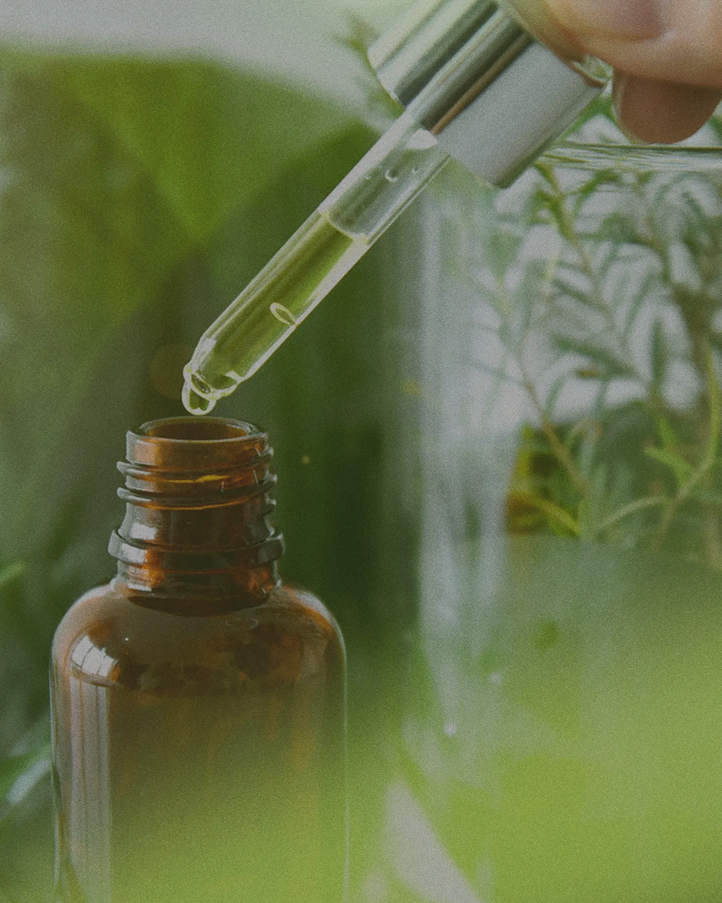 Essential oil in a brown bottle