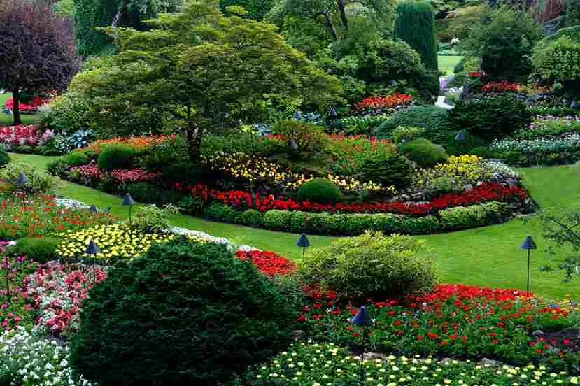 Beautiful well landscaped park with trees and flowers 