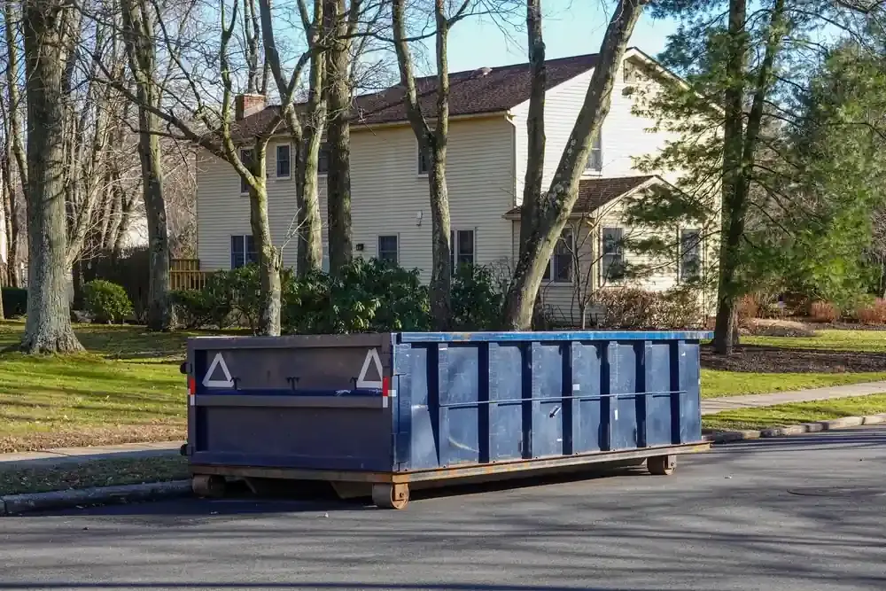 Blue dumpster in street