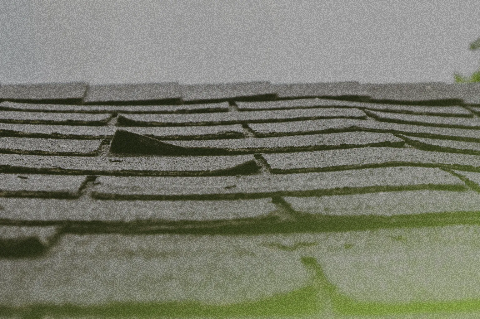 shingles of a roof